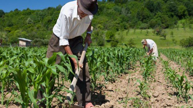 Estados Unidos ofrecerá visas de trabajo para agricultores guatemaltecos