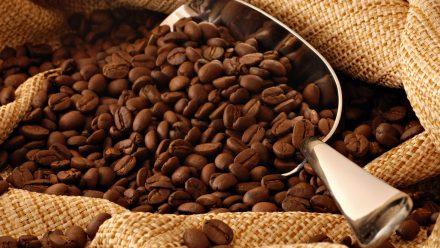 Propone México atender crisis precios del café para reducir migración