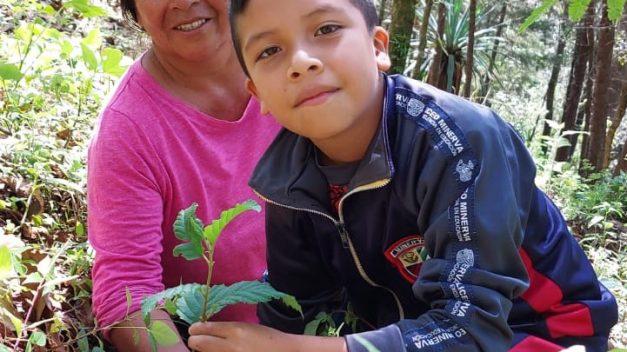Estudiantes guatemaltecos lideran la jornada de reforestación en San Marcos