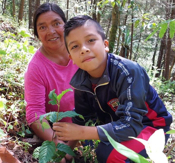 Estudiantes guatemaltecos lideran la jornada de reforestación en San Marcos