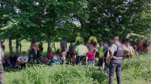 Rescate exitoso de 177 migrantes guatemaltecos en México