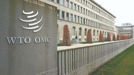 Guatemala y China discuten en la OMC situación de exportaciones agrícolas