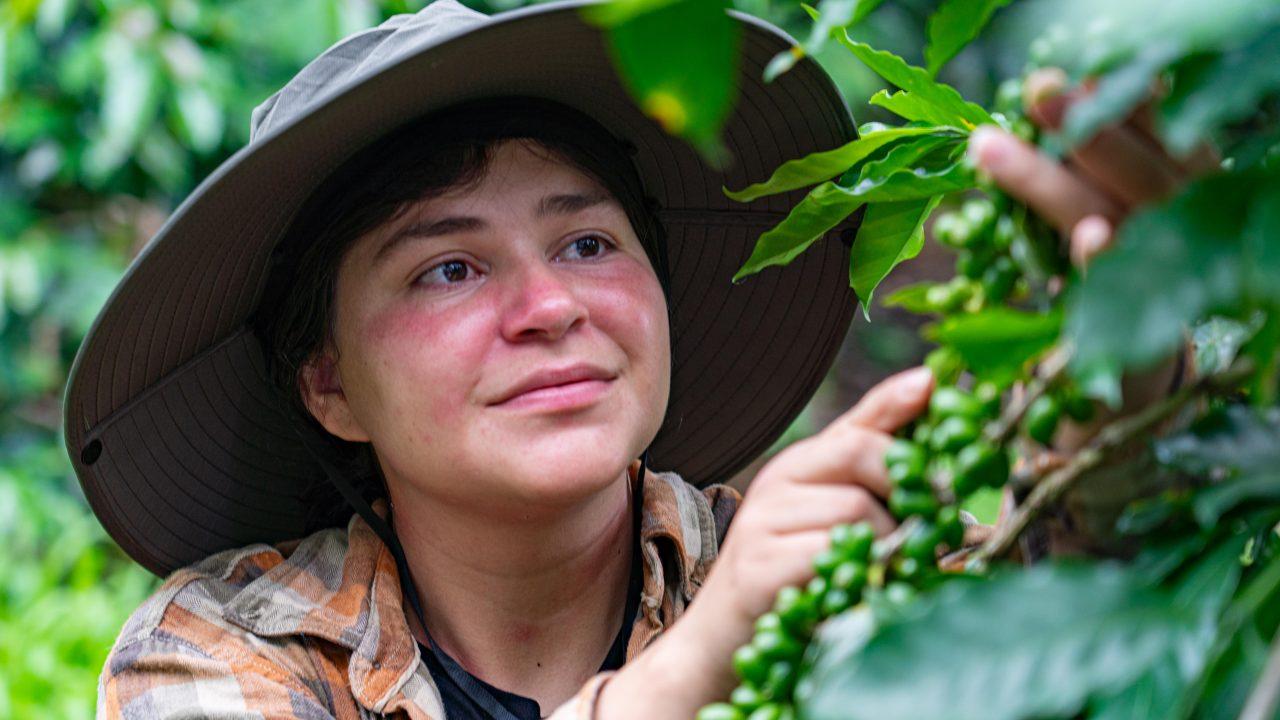 Nestlé continúa impulsando la capacitación de jóvenes caficultores en la región